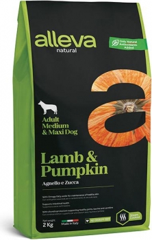 natural_dog_lamb_adult_medium_maxi[1]